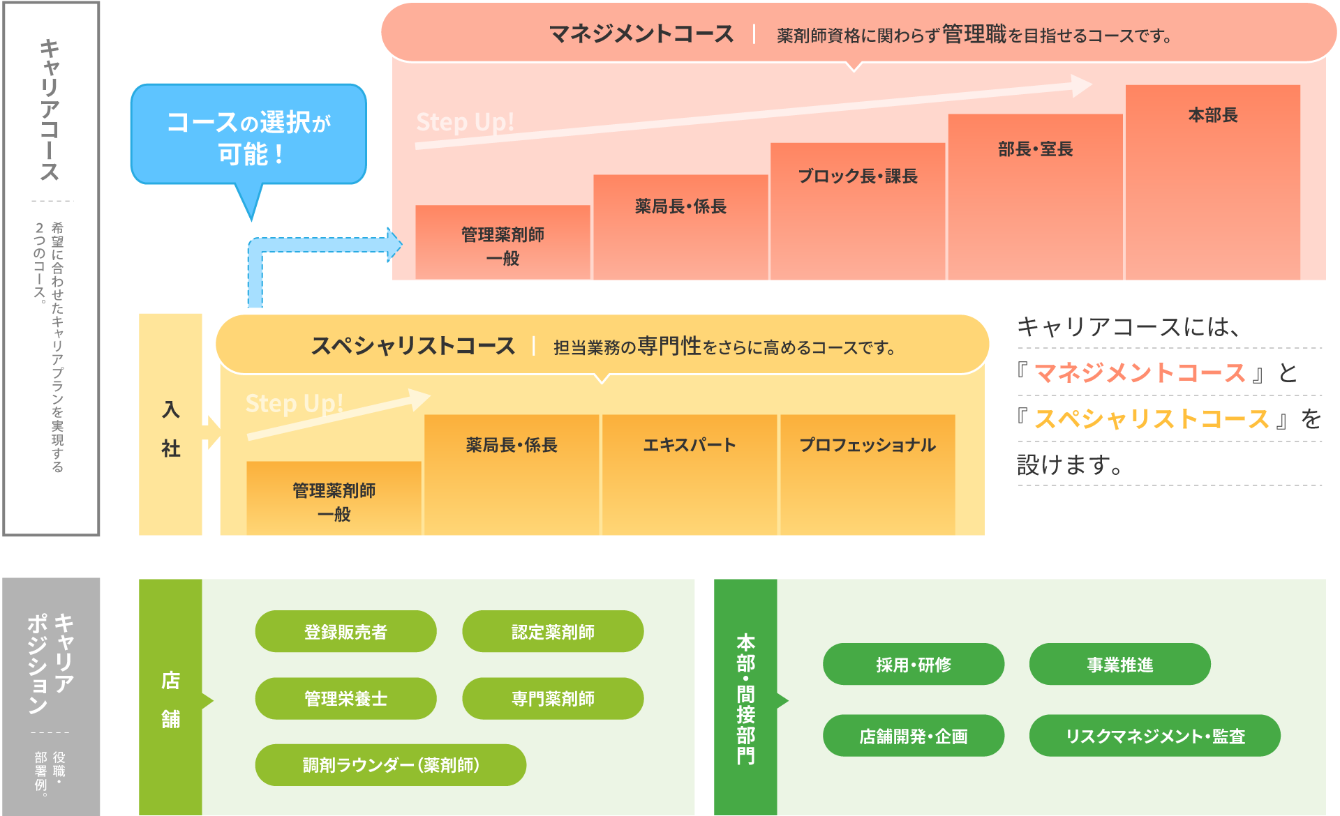 キャリアパス・研修制度